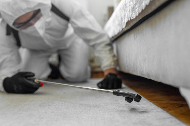 Professional Bed Bug Control technician working in Smiths Station, AL